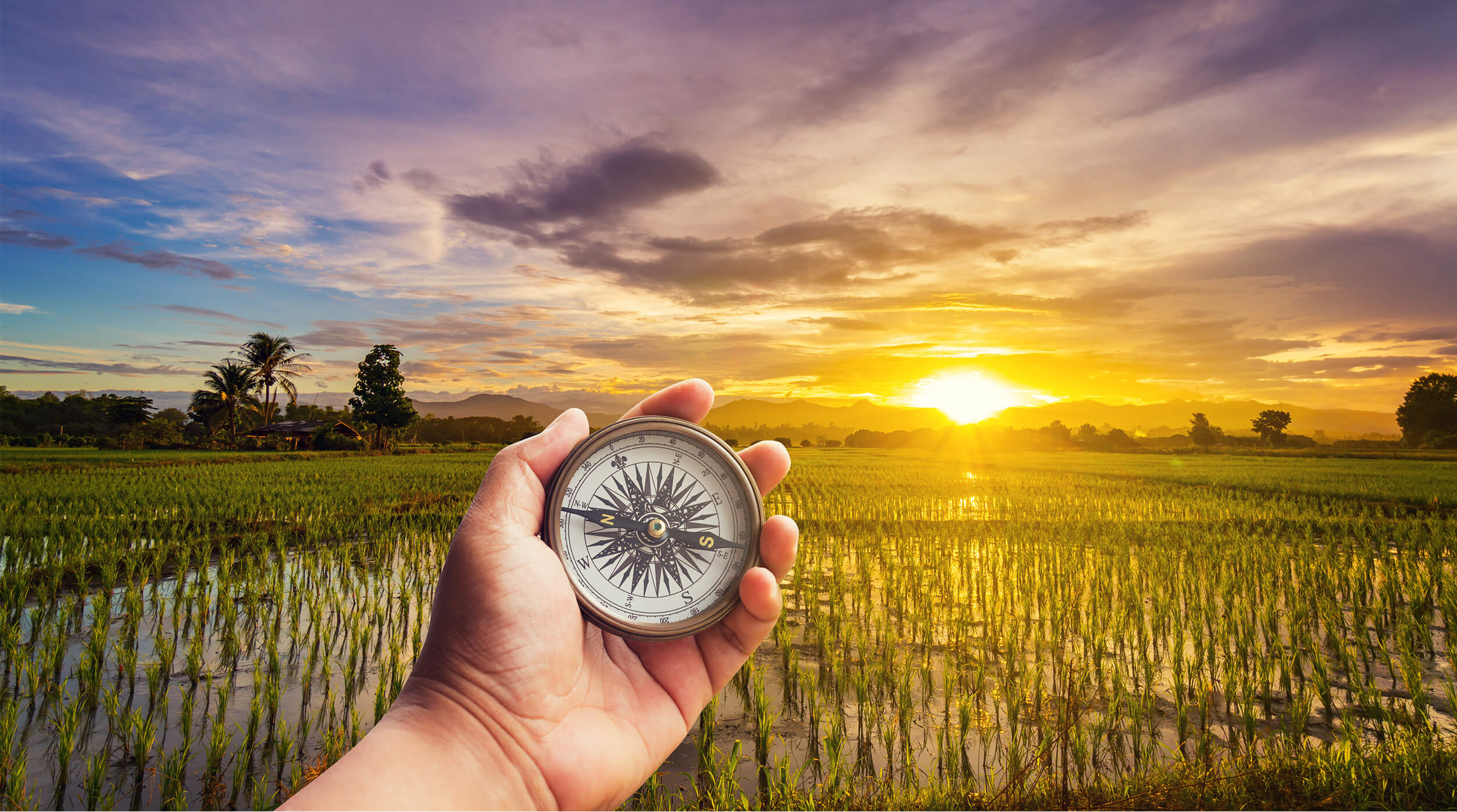 Needed Agile Principles and Values