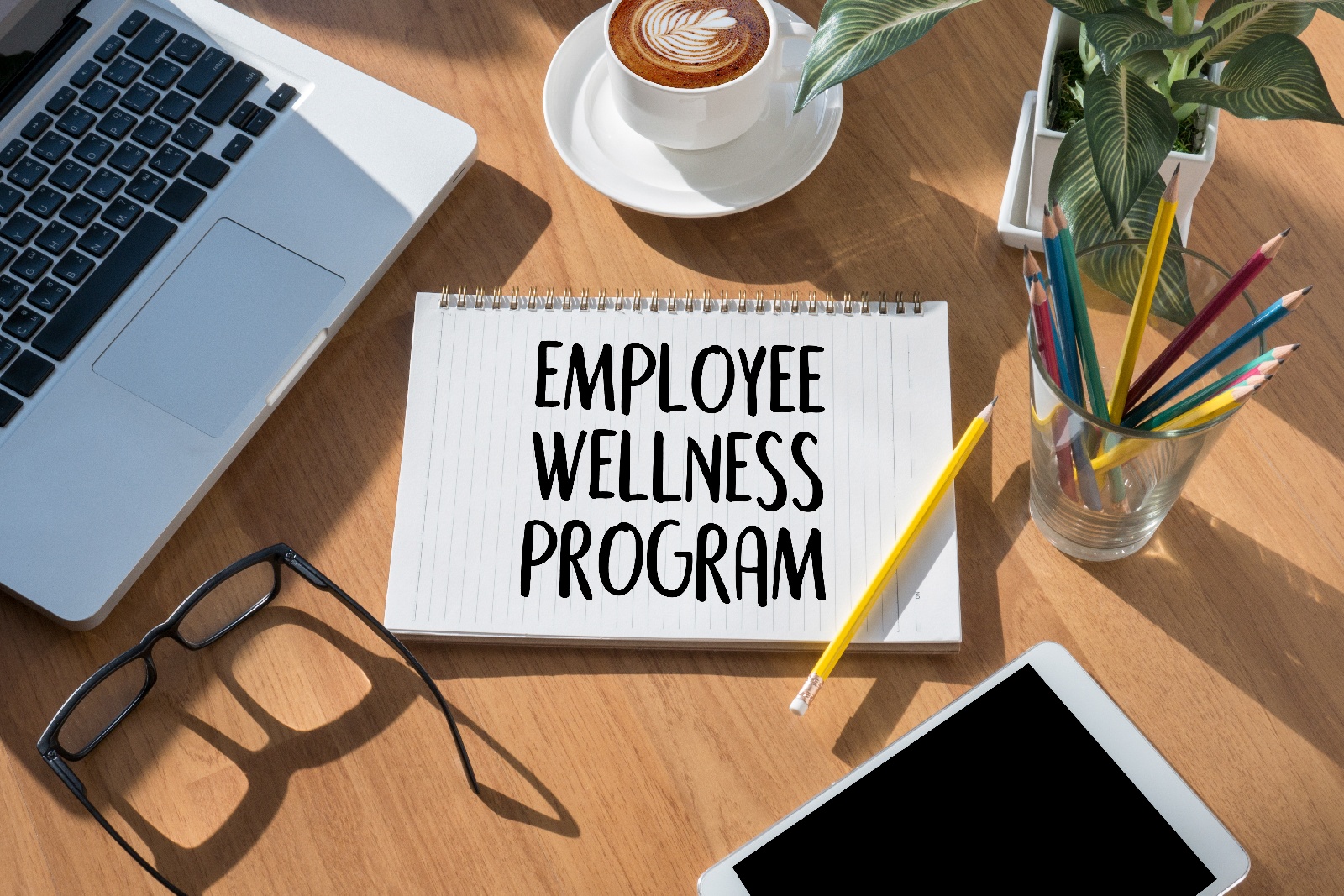 Employee Health & Wellness Software